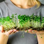 Microgreen Benefits